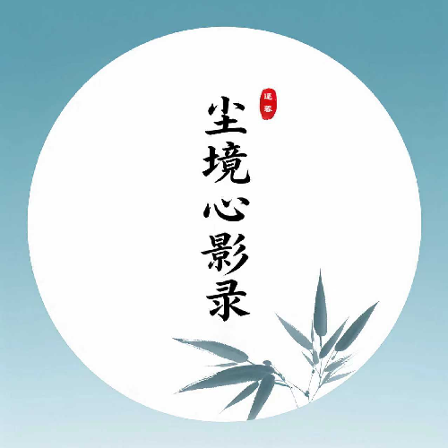 尘境心影录