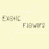 Exotic﹏Flowers