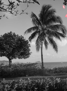 春风犯错没理由