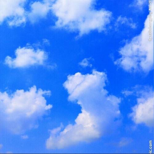 朗朗晴空_69180543