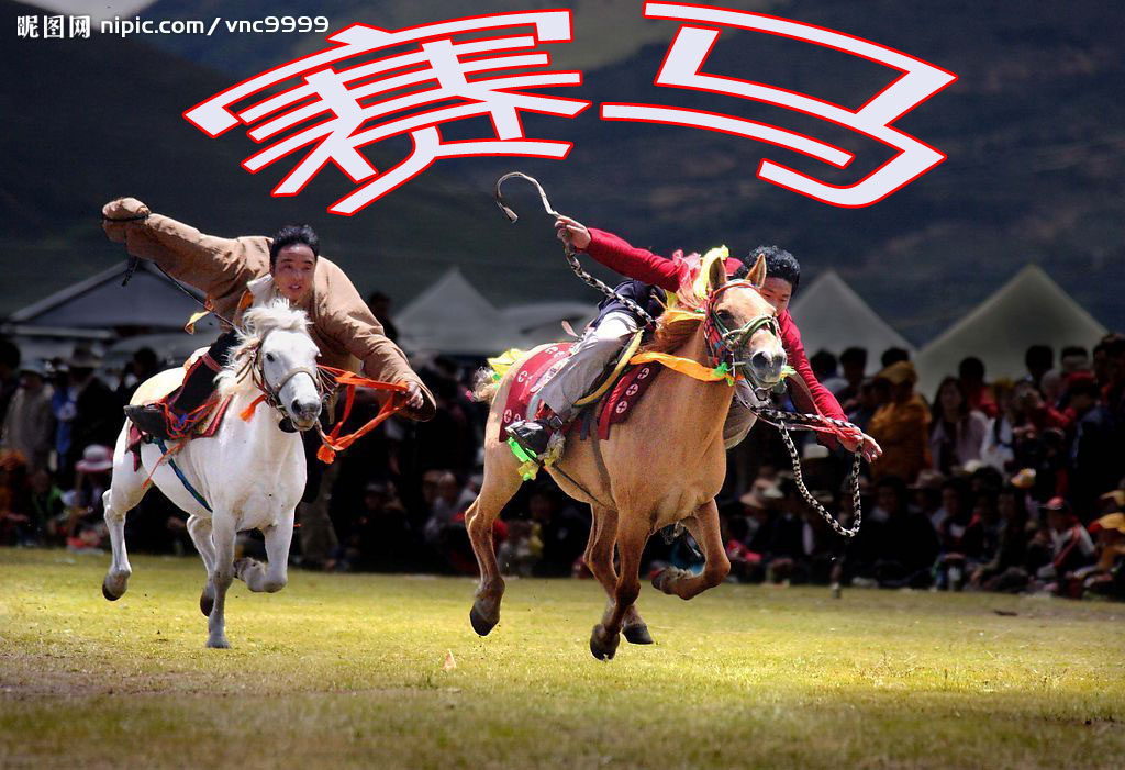 赛马口琴吹奏a调