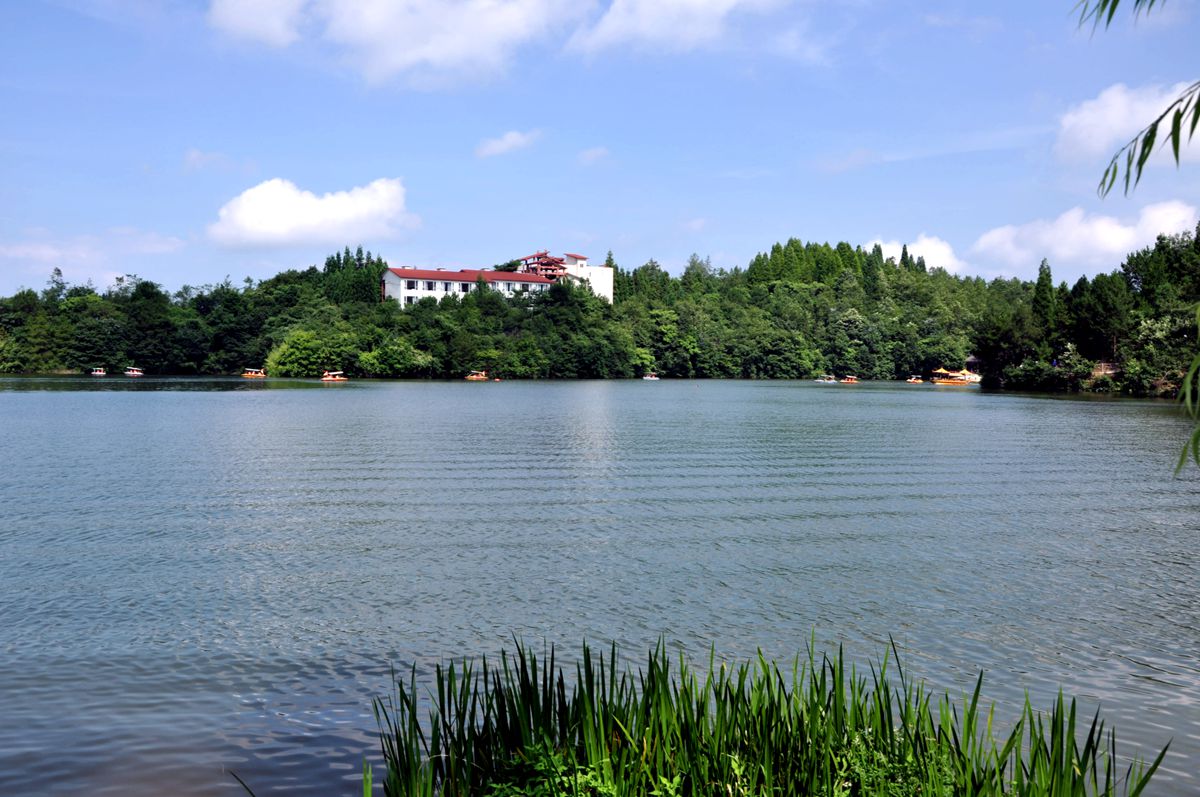 美丽黄水桃红演唱