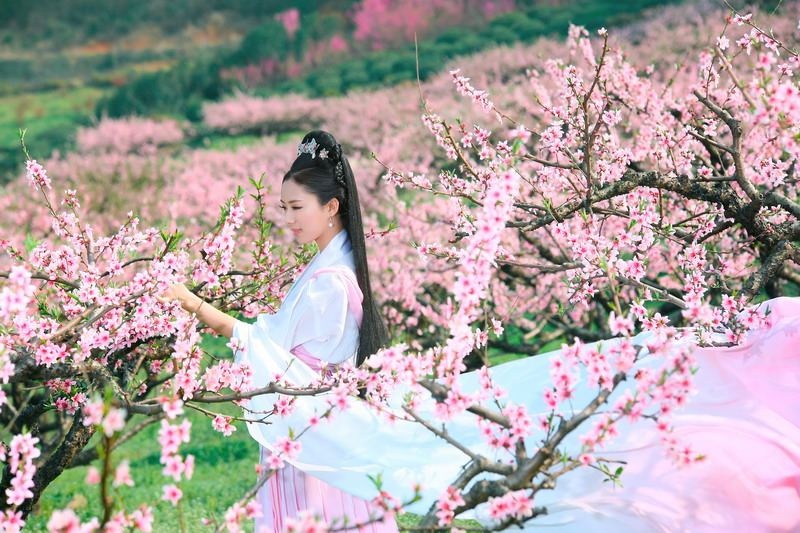 梦入桃花源