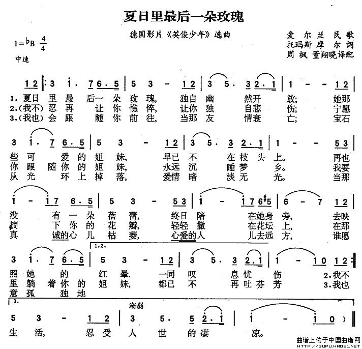 夏日最后的玫瑰