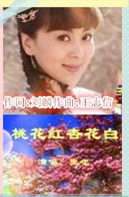 吕继宏桃花红杏花白简谱_桃花红杏花白简谱(2)