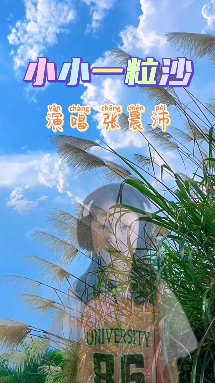 小小一粒沙