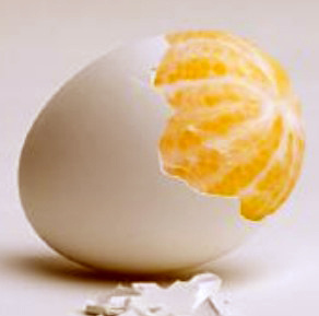 橘蛋子