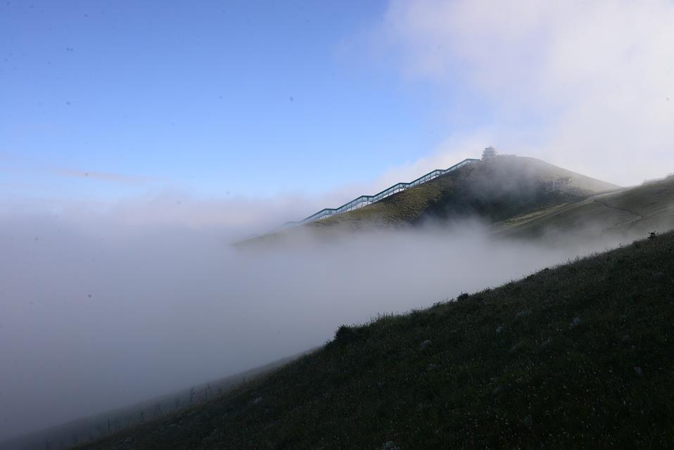【归古】鲜胖子