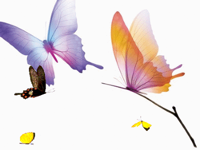蝴蝶飞行gif动图图片