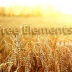 Free Elements