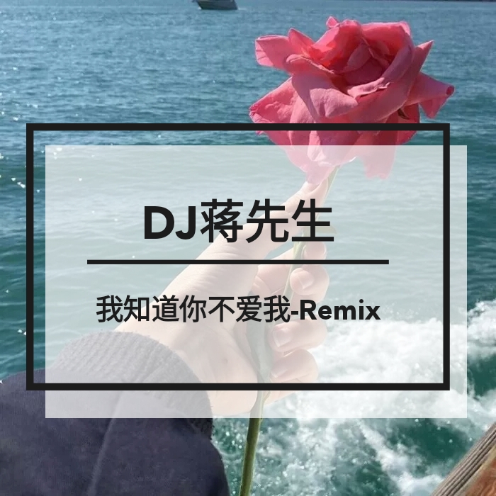 我知道你不愛我-remix