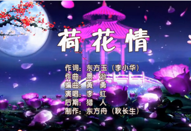 荷花情