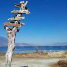 是我是我就是我_6745**85