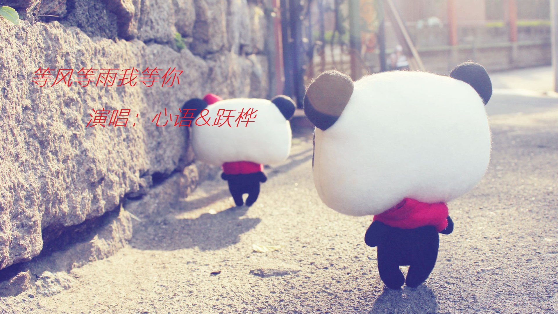 等风等雨我等你