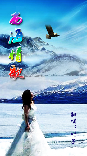 西海情歌
