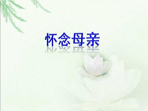 关于梦中的妈妈图片图片