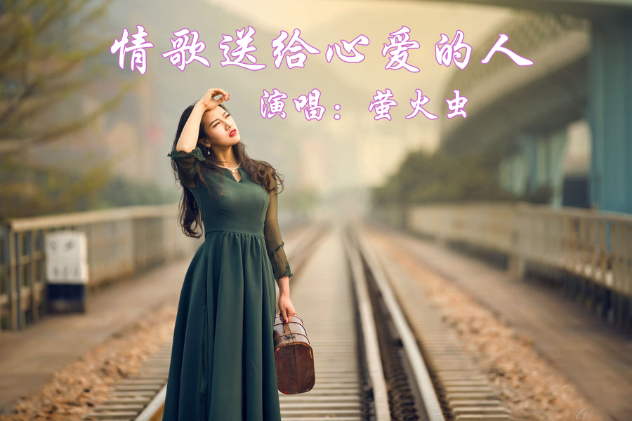 情歌送给心爱的人