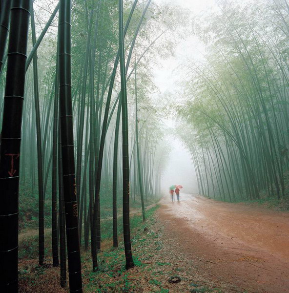 龚道清原创音乐