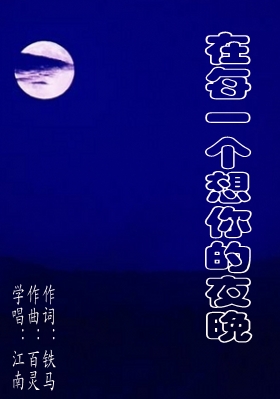 在每一个想你的夜晚