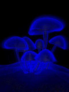 240_320竖版 竖屏gif 动态图 动图