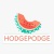 Hodgepodge翻唱团