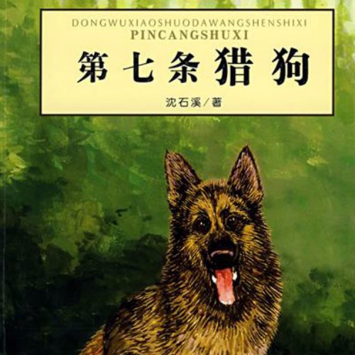 故事第七条猎狗下