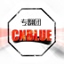 CNBLUE专翻团