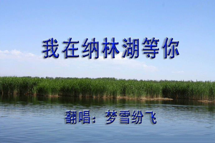 简谱我在纳林湖等着你_我在纳林湖等着你图片
