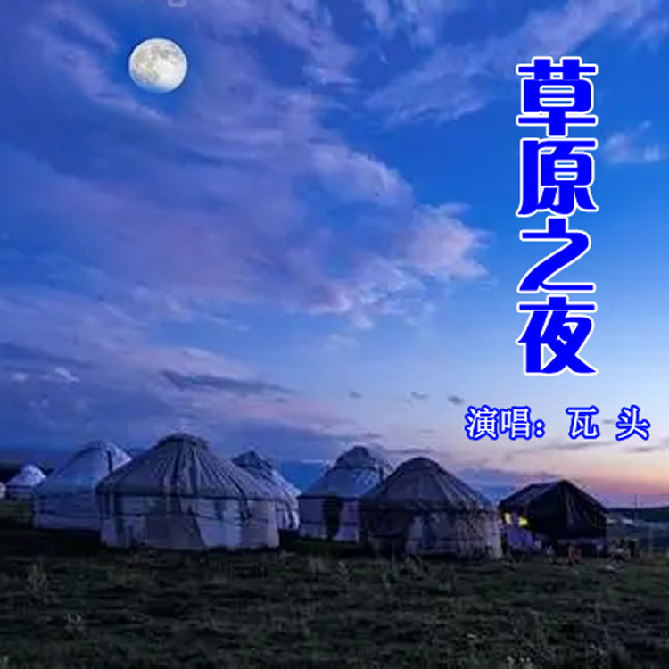 田震草原之夜图片