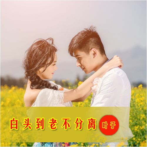 白头到老不分离