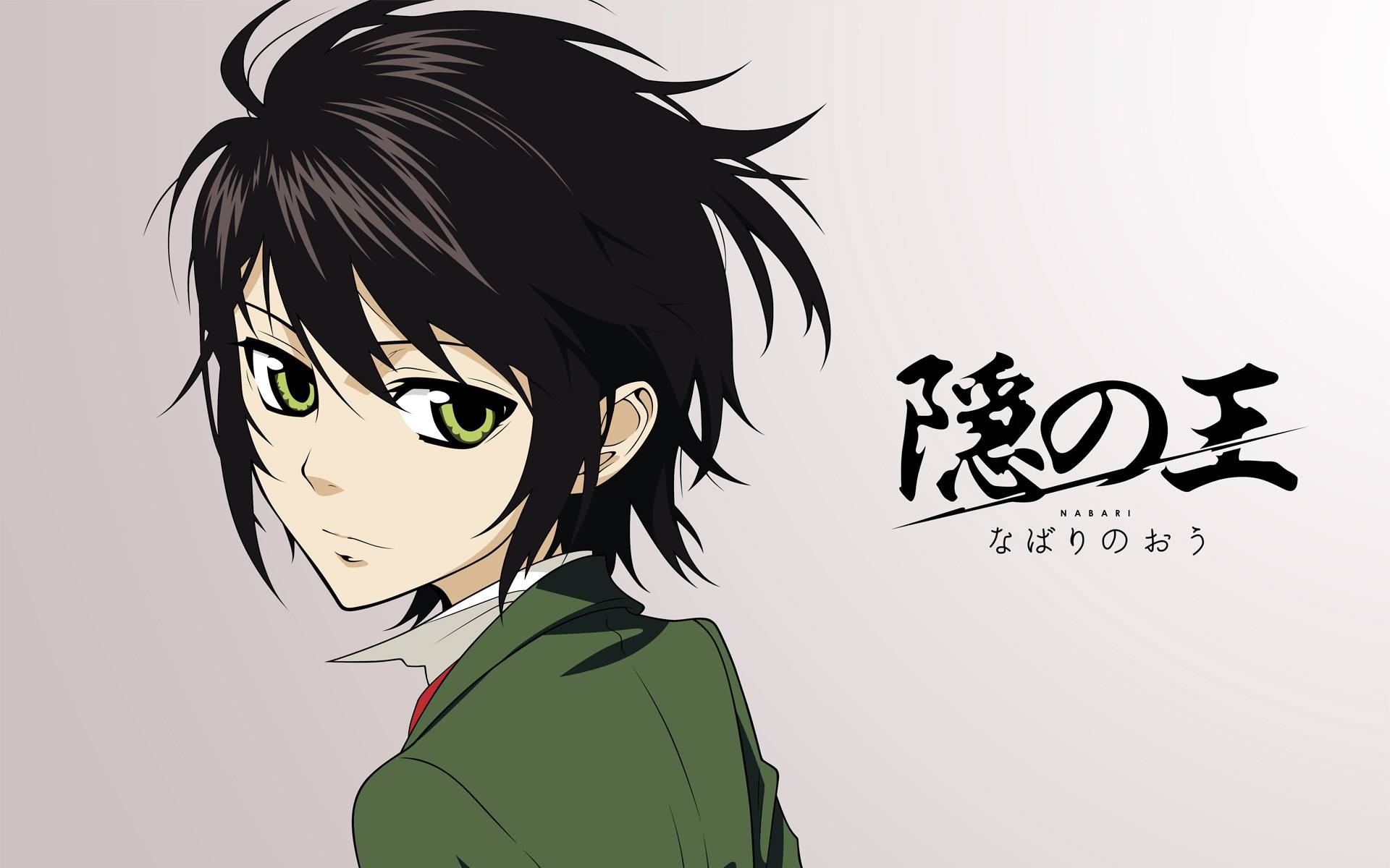 hikari隐の王ed