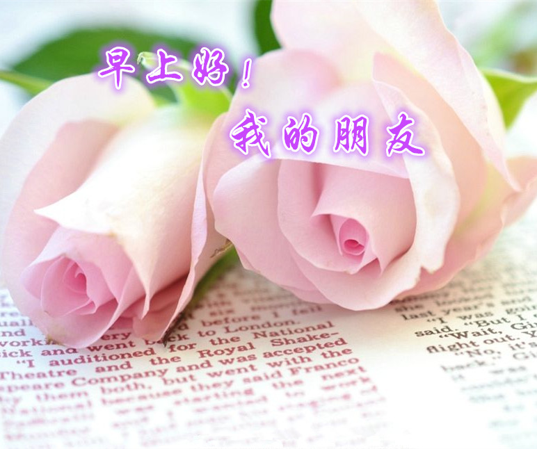 早上好 我的朋友 画桥烟柳 独唱版 画桥烟柳 5sing中国原创音乐基地 早上好 我的朋友 画桥烟柳 独唱版 画桥烟柳 5sing中国原创音乐基地