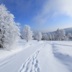 雨雪飞歌