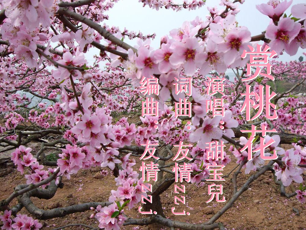 f9121db05350a6b4999dafa3aae6e5dd.jpg