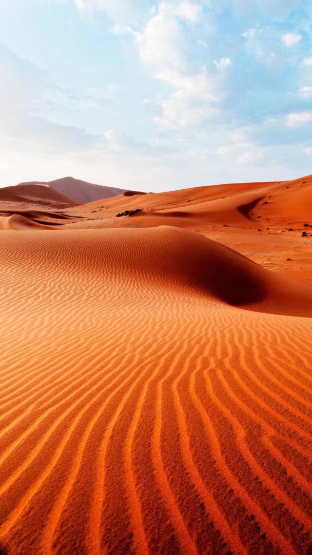 情怀依旧s史英良