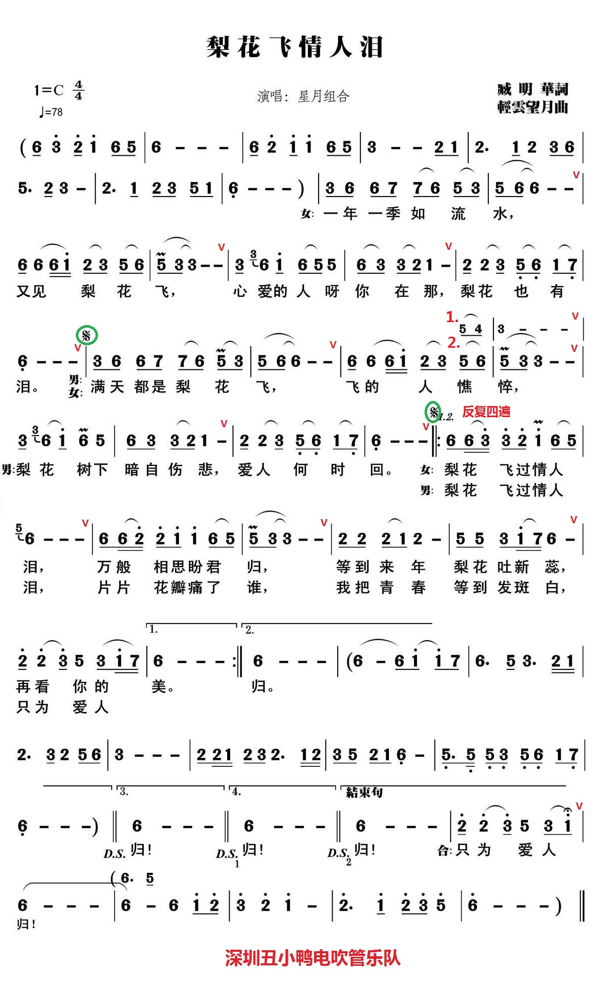 梨花飞过情人泪的简谱图片