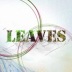 Leaves°